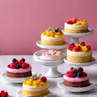 Vegane Kuchen pflanzlich